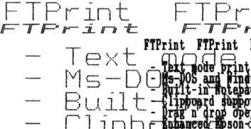 Text strings printed by FTPrint with different font styles on the dot-matrix printer