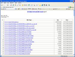 10-Strike Network File Search Report