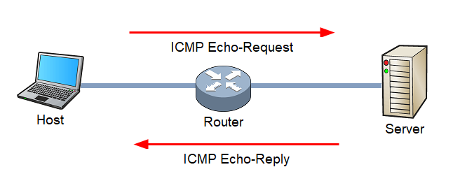 ping host check