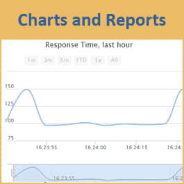Charts and reports